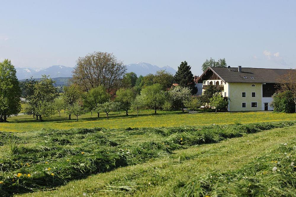 Koellhof Appartement Höslwang Buitenkant foto