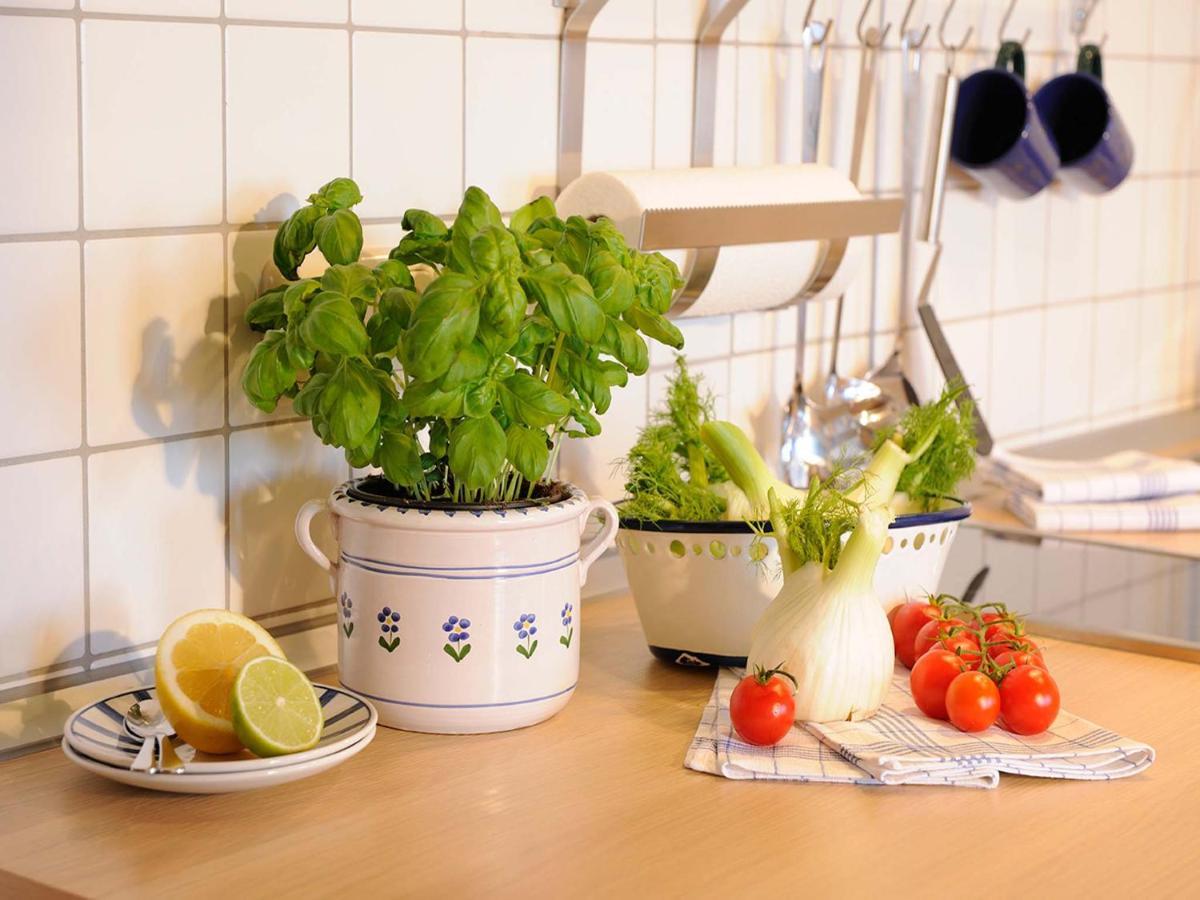 Koellhof Appartement Höslwang Buitenkant foto